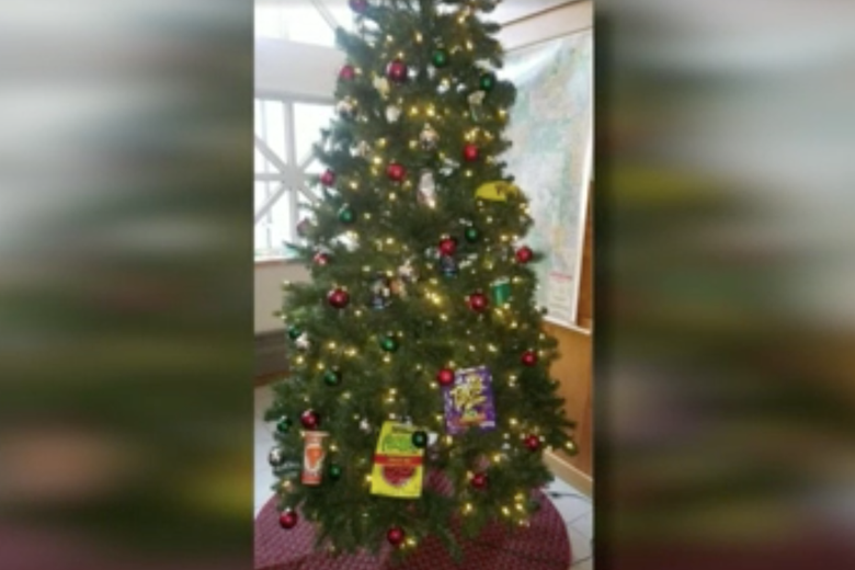 A screenshot of a photo of the offensive tree decorated with pieces of trash.